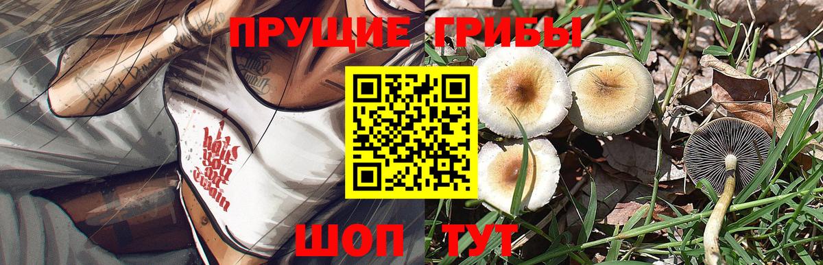 Галлюциногенные грибы Psilocybine cubensis  Вход с VPN  Ижевск 