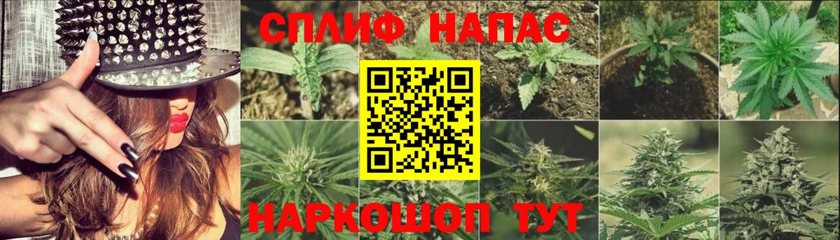 МАРИХУАНА план Ижевск